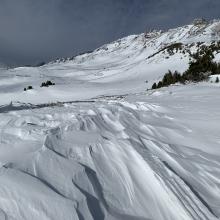 Widespread sastrugi features above treeline