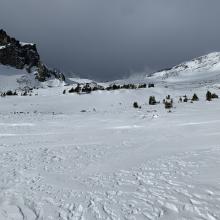 Near tree line, Old Ski Bowl