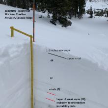 Pit location, 20210102, Avy Gulch/Lower Casaval Ridge, near treeline, 8,000 feet