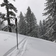 Ski pen of 2-3 inches at 7,800 Feet