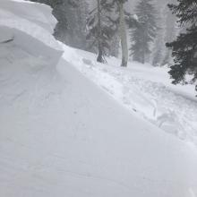 Test slope below treeline on west aspect 7,000 Feet