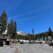 Bunny Flat trailhead and parking, 6,950 feet