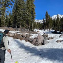 Below treeline on Mt. Shasta, many rocks, trees and dirt patches showing