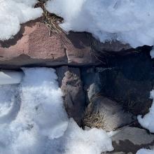 The spring at the Sierra Alpine Hut is running, as of today at least