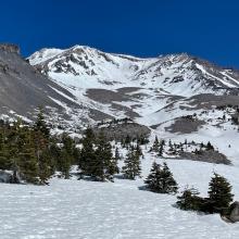 Near treeline, just above Horse Camp, looking up Avalanche Gulch
