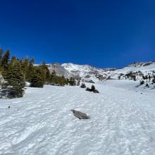 Near treeline, just above Horse Camp, looking up Avalanche Gulch