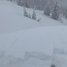 Cornices cracked and were easy to trigger onto slopes below, releasing soft storm slabs 5-10 inches deep.