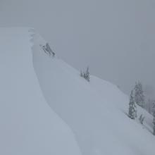 Northeast facing aspect off the top of Gray Butte where easy triggered soft slabs were produced.