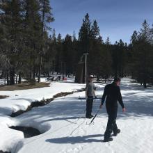 Mumbo Basin snow survey