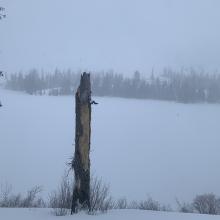 A brief moment where the lake could be seen. This was rare.