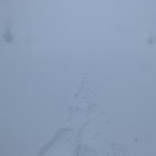 A more typical view from the afternoon! Visibility was often less than 200 feet.