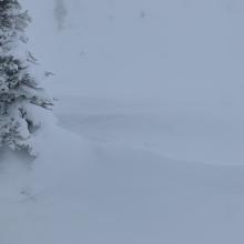 Evidence of wind loading from SW wind, a row of wind drifted snow behind this tree extending to the northeast.