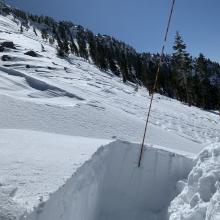 Snowpit near treeline, ~8,000 feet