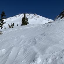 Mt Shasta in background with wind affected snow surface in foreground. In many areas, a firm wind crust has capped off the soft, underlying snow.