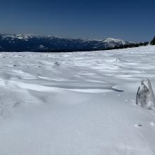 Example of snow surfaces near and above treeline.