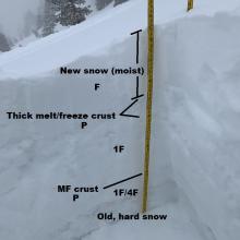 Pit location near treeline in the Old Ski Bowl