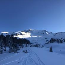 Avalanche Gulch, near treeline