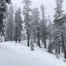 Looking up Green Butte Ridge ~ 7,200 Feet