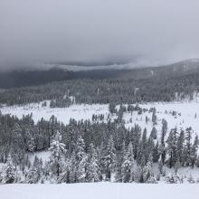 Looking west from Green Butte ridge 8300 feet