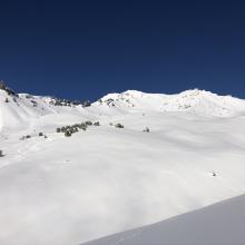 Looking up Avalanche Gulch, Note: roller balls and small loose wet avalanche on Casaval Ridge