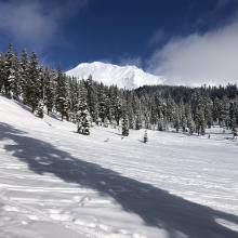 View from near Bunny Flat