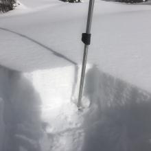 6 inches of soft snow above crust in protected area near treeline