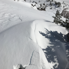 Small wind slab on lee of tree well Giddy, Giddy Gulch