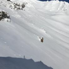 View of Avalanche Gulch from top of Giddy, Giddy Gulch