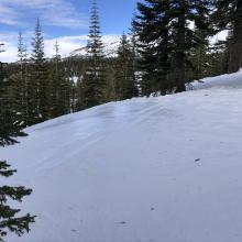 Icy patch in open area along ridgeline below treeline near Bunny Flat