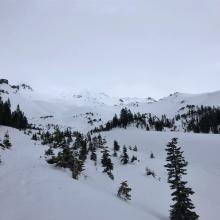 Looking up Avalanche Gulch 7,800 feet