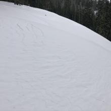 Below treeline- open area along ridgeline 