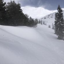 Near treeline- east facing terrain is where the fresh drifts are forming