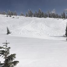 Near treeline- west facing terrain is scoured 