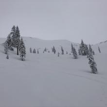 Looking up Sun Bowl