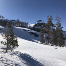 Near Heart Lake: north facing patches are icy