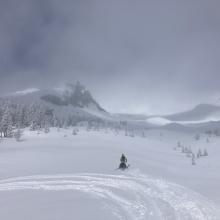 Some sled traffic in Old Ski Bowl