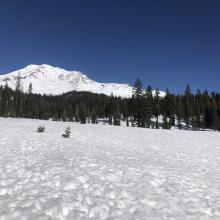 Bunny Flat, looking east at Mount Shasta