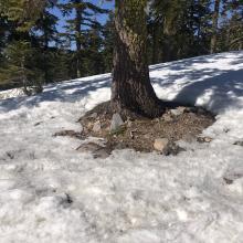 A shallow snowpack on Broadway (Green Butte Ridge)