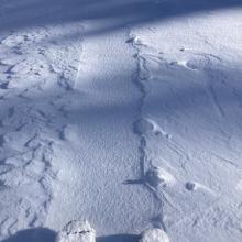 Skin track filling with snow