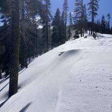 Cornice below treeline