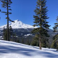 Mt Shasta