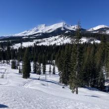 East of Mt Shasta