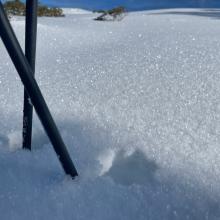 Small surface hoar on northwesterly facing ridgelines