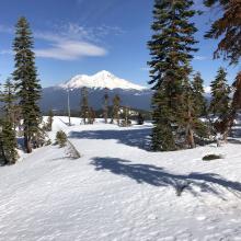 Firm snowpack on Center Peak's ridge. Mount Shasta in the distance