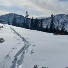 Skin track along ridge to weather station with Castle Basin in background