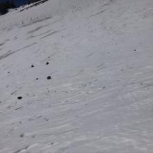 Many rocks strewn across the snowpack