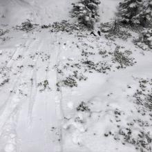 Exposed bushes and rocks below treeline