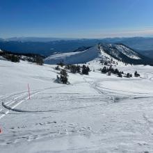 East Wilderness boundary in Old Ski Bowl marked by orange snow poles