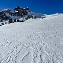 Wind texturing, Green Butte in background