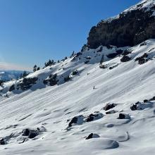 Small roller balls on sunny, near treeline slopes 